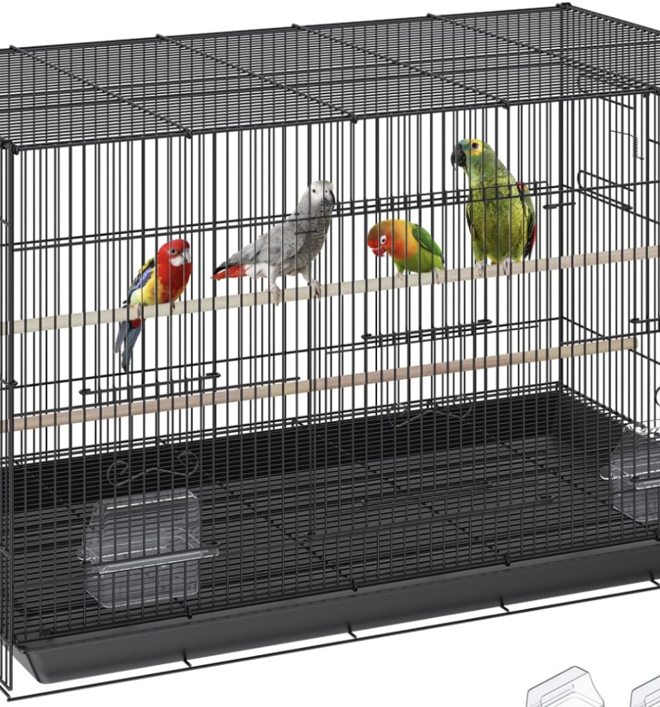 bird cages